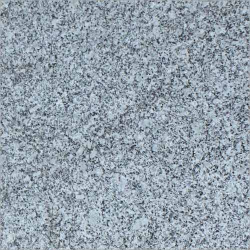 Koliwada White Granite slab &mdash; off-white to pale cream with warm mineral speckles