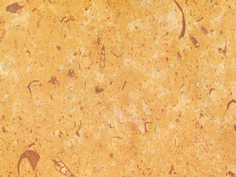 Galaxy Gold Limestone