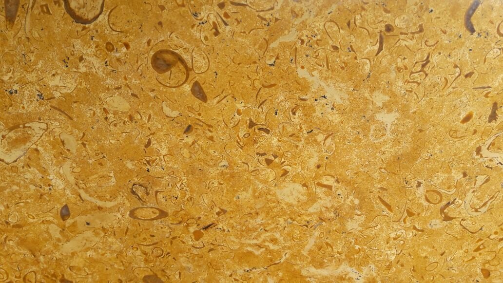Flowery Gold Marble