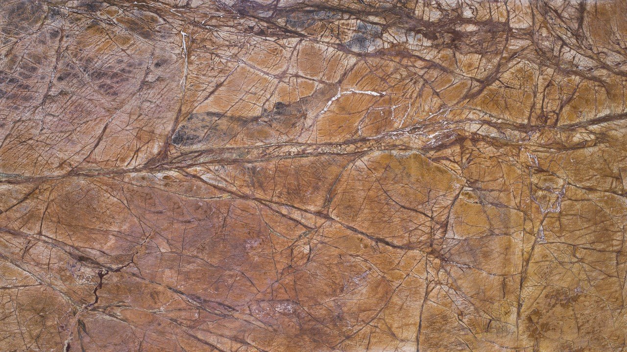 Rainforest Brown Marble slab — rich brown with dendritic vein patterns, Bidasar Sikar Rajasthan India
